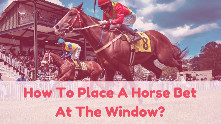 How To Place A Horse Bet At The Window?