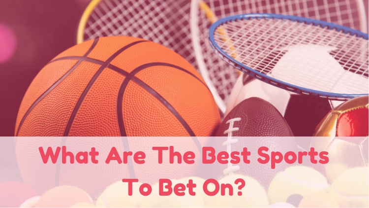 What Are The Best Sports To Bet On?