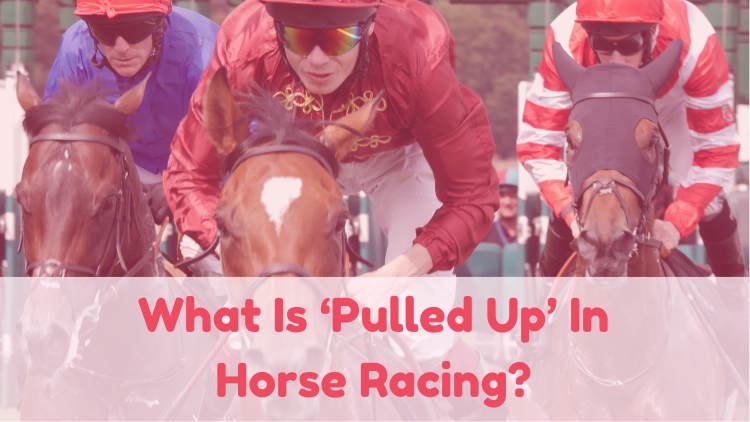 What Is ‘Pulled Up’ In Horse Racing?