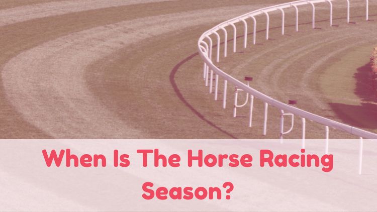 When Is The Horse Racing Season?